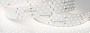 картинка Светодиодная лента RT-A280-36mm 24V Day5000 CRI98 (30 W/m, IP20, 2835, 2.5m) (Открытый) 025158(2) от магазина BTSvet