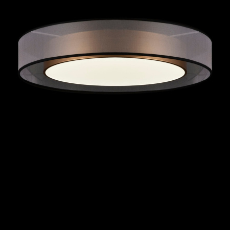 картинка Потолочный светильник светодиодный Zoticus FR6005CL-L48G от магазина BTSvet