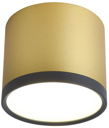 Накладной светильник Baral 3082-2C