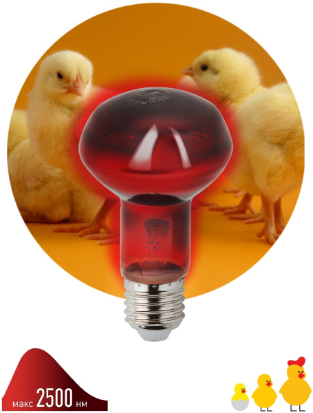 картинка Инфракрасная лампа ЗРА ИКЗК 230-60 R63 Е27 для обогрева животных 60 Вт от магазина BTSvet