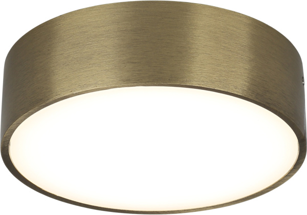 Потолочный светильник светодиодный Evon APL.0114.29.12