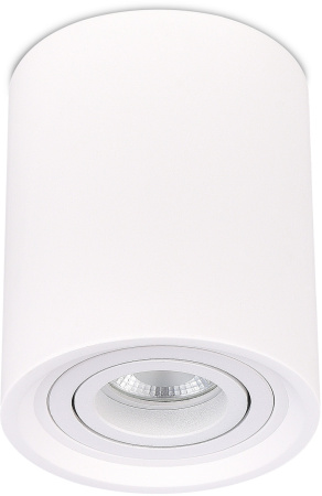 картинка Светильник потолочный ST156 Gipsum ST156.502.01 от магазина BTSvet