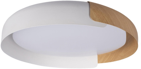 Потолочный светильник Coin 10198 White