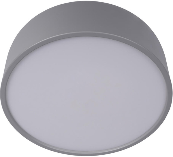 картинка Потолочный светильник Axel 10201/350 Grey от магазина BTSvet