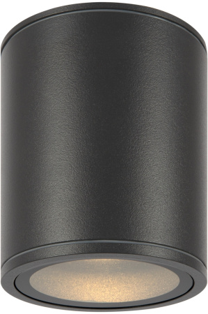 картинка Потолочный светильник уличный Bar O306CL-L12GF от магазина BTSvet