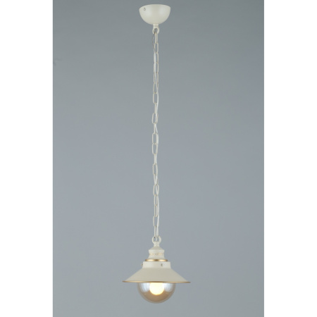 картинка Подвесной светильник Torri OML-50806-01 от магазина BTSvet