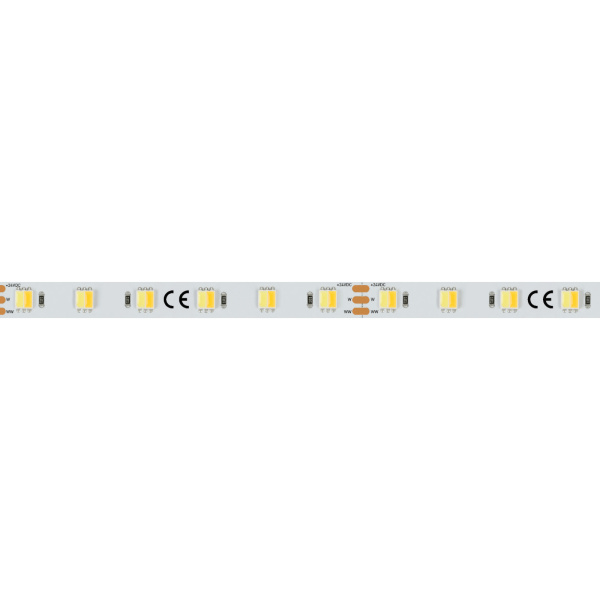 картинка Светодиодная лента RT 6-5000 24V White-MIX-One 2x (5060, 60 LED/m, LUX) (Arlight, Изменяемая ЦТ) 025214 от магазина BTSvet