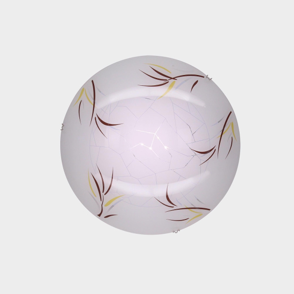 картинка Настенно-потолочный светодиодный светильник Iva CL918009 от магазина BTSvet