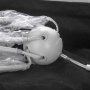 картинка Потолочная люстра Kenner LSP-8269 от магазина BTSvet