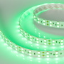 картинка Светодиодная лента RT 2-5000 24V Green 2x2 (5060, 600 LED, LUX) (Arlight, 28.8 Вт/м, IP20) 011262 от магазина BTSvet