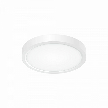 Потолочный светильник светодиодный Бейсик CL738120N IP40