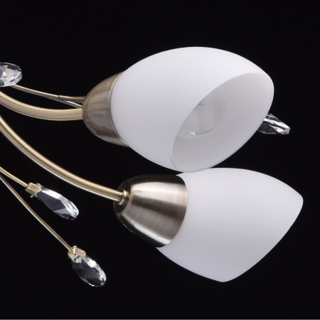 картинка Потолочная люстра Nezhnost 356012905 от магазина BTSvet