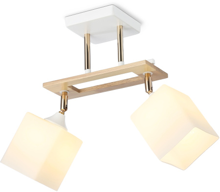 Потолочная люстра на штанге TRADITIONAL TR9501