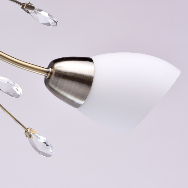 картинка Потолочная люстра Nezhnost 356015308 от магазина BTSvet