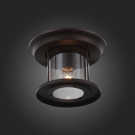 картинка Потолочный светильник уличный Lastero SL080.402.01 от магазина BTSvet