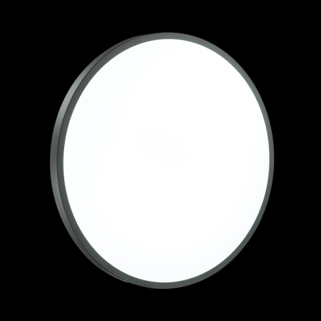 картинка Настенно-потолочный светильник Smalli 3012/DL от магазина BTSvet