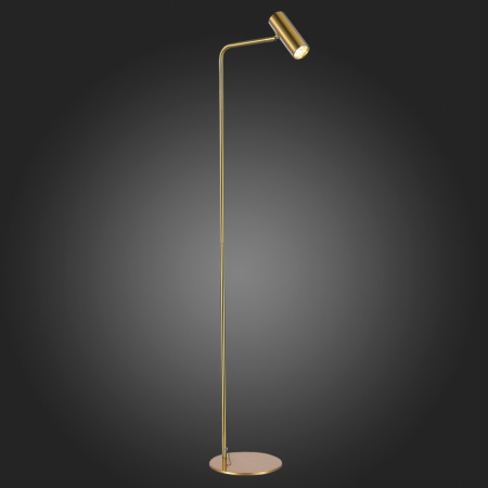 картинка Торшер ST Luce Arper SL1006.205.01 от магазина BTSvet