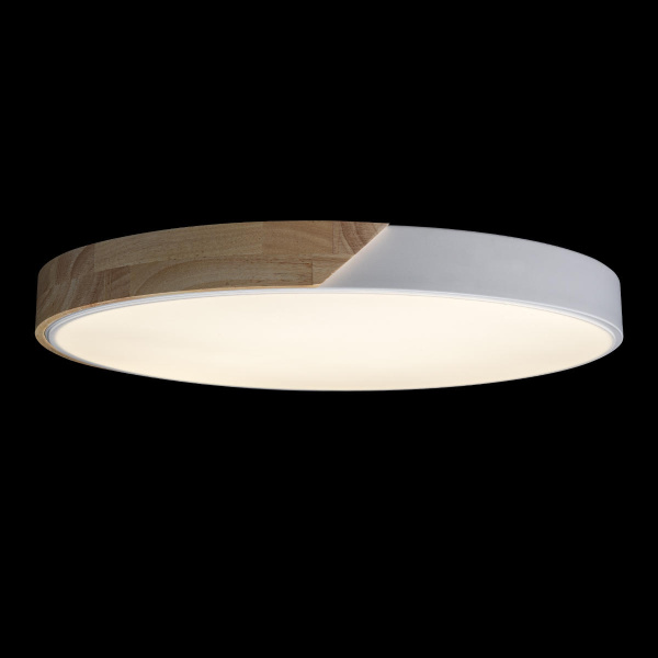 картинка Потолочный светильник светодиодный Axel 10004/36 White от магазина BTSvet