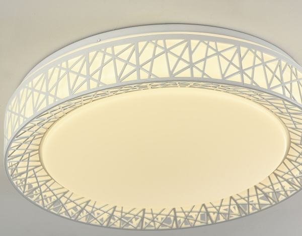 картинка Потолочный светильник Creatura 2314-5C от магазина BTSvet