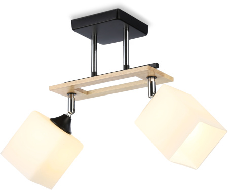 Потолочная люстра на штанге TRADITIONAL TR9503