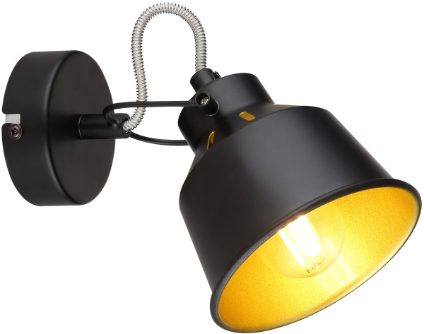 картинка Спот Rivoli Evelyn 7064-701 от магазина BTSvet