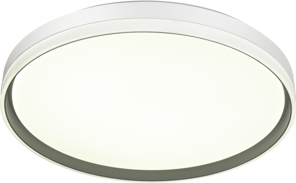 картинка Настенно-потолочный светильник Savi 7631/DL от магазина BTSvet