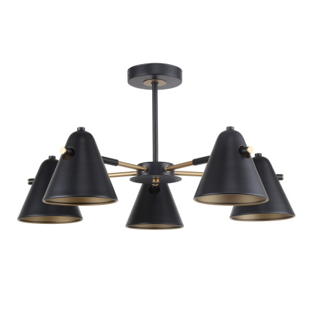 картинка Потолочная люстра Rigor 2844-5P от магазина BTSvet