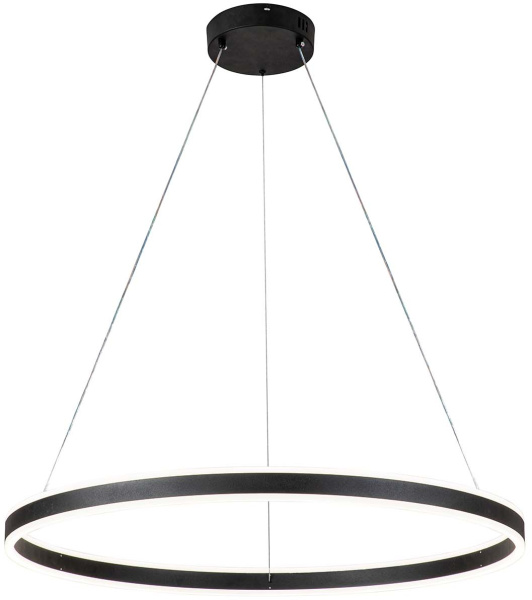 Подвесной светильник Galass V000036L (14001/1P Black)