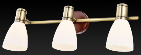 картинка Спот на штанге Sharyl TL3720Y-03BB от магазина BTSvet