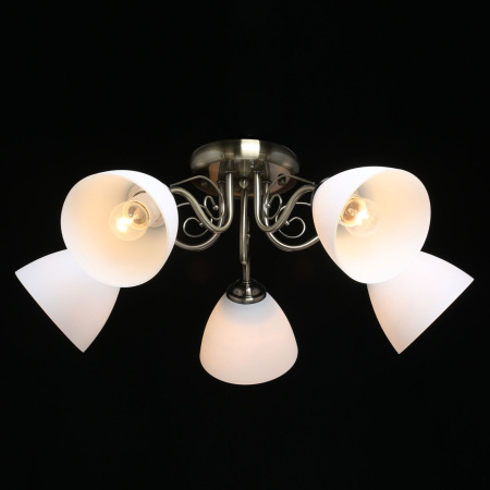 картинка Потолочная люстра Грация 677012705 от магазина BTSvet