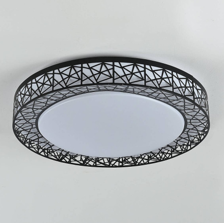 картинка Потолочный светильник Creatura 2315-5C от магазина BTSvet