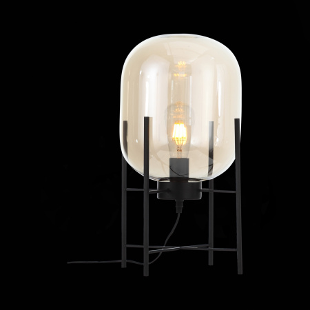 картинка Торшер с выключателем Burasca SL1050.505.01 от магазина BTSvet