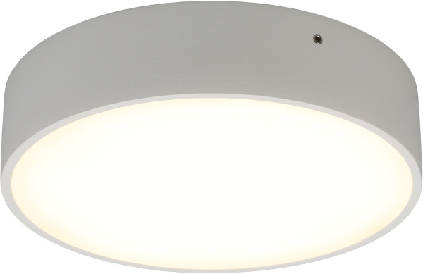 Потолочный светильник светодиодный Evon APL.0113.09.18