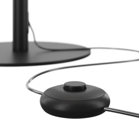 картинка Торшер светодиодный с выключателем Ray Z012FL-L18B3K от магазина BTSvet