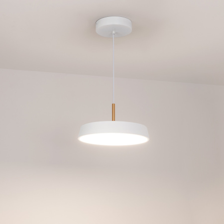 картинка Подвесной светильник LED SP-ELEGANT-R300-17W Day4000 (WH, 120 deg, 230V) (Arlight, IP20 Металл, 3 года) 033919 от магазина BTSvet