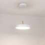 картинка Подвесной светильник LED SP-ELEGANT-R300-17W Day4000 (WH, 120 deg, 230V) (Arlight, IP20 Металл, 3 года) 033919 от магазина BTSvet
