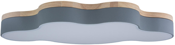 Потолочный светильник светодиодный для детской Axel 10005/36 Grey