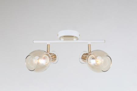 картинка Спот 1137/2A от магазина BTSvet