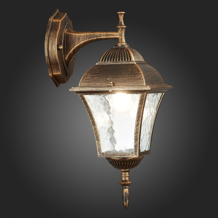 картинка Настенный фонарь уличный Domenico SL082.211.01 IP44 от магазина BTSvet