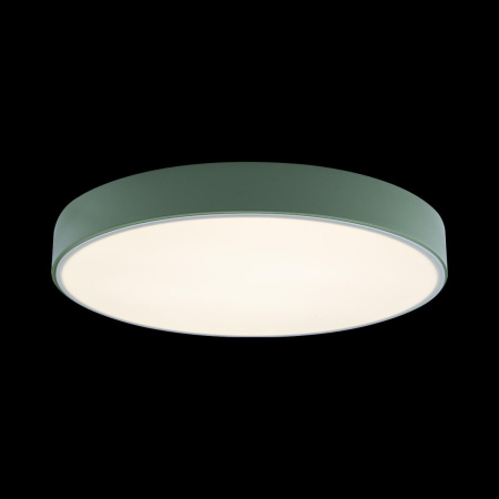 картинка Потолочный светильник светодиодный Axel 10002/24 Green от магазина BTSvet