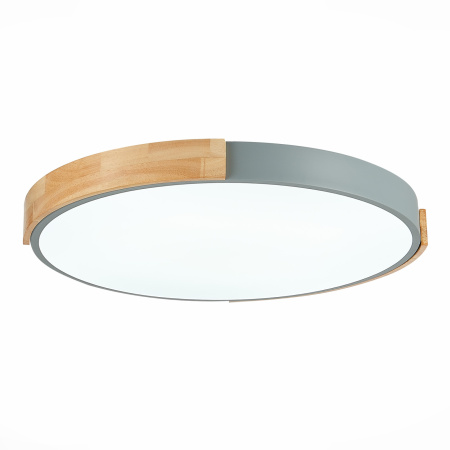 картинка Потолочный светильник светодиодный с регулировкой цветовой температуры Delia SLE201372-01 от магазина BTSvet