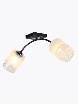 Потолочная люстра Sally H010-2