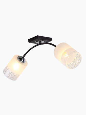 Потолочная люстра Sally H010-2