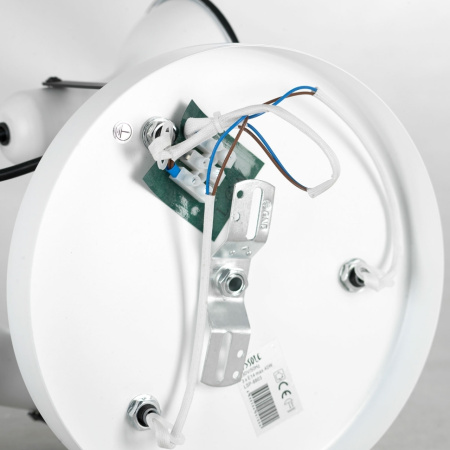 картинка Спот Fargo LSP-8803 от магазина BTSvet