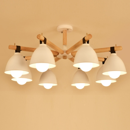 картинка Потолочная люстра FLAN 8 от магазина BTSvet