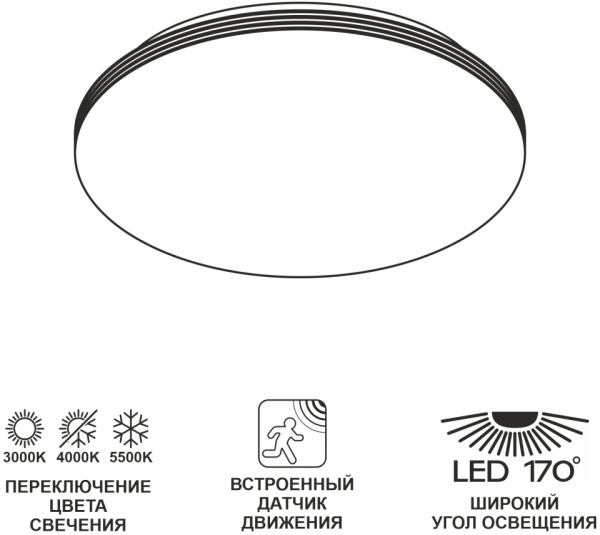 Потолочный светильник Симпла CL71424SV