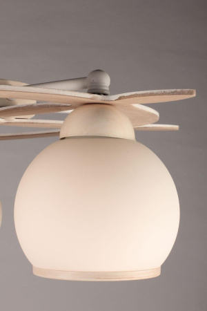 картинка Потолочная люстра OML-50517-05 от магазина BTSvet