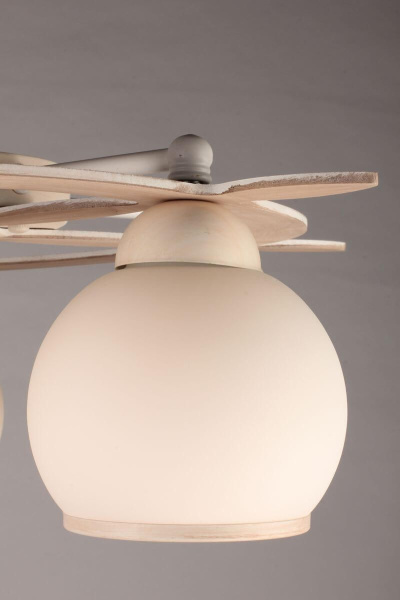 картинка Потолочная люстра OML-50517-05 от магазина BTSvet