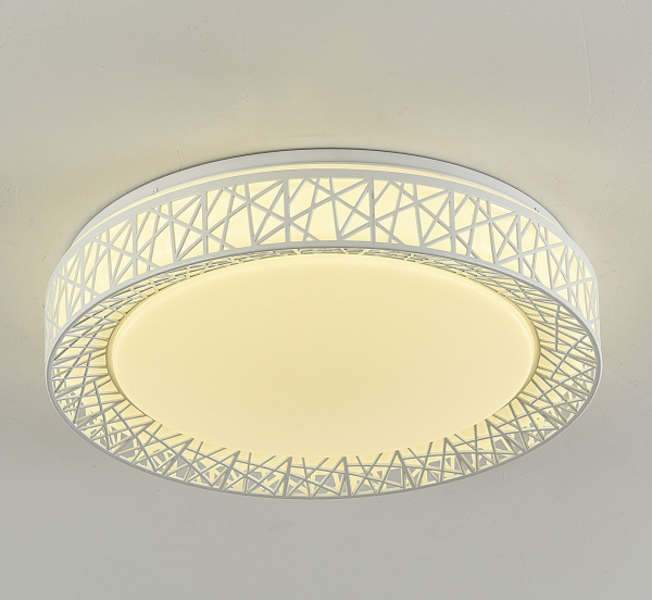 картинка Потолочный светильник Creatura 2314-5C от магазина BTSvet