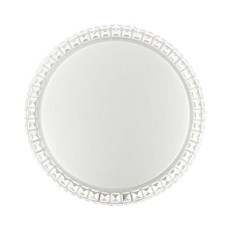 Светодиодный настенно-потолочный светильник с пультом Brisa 2036/FL